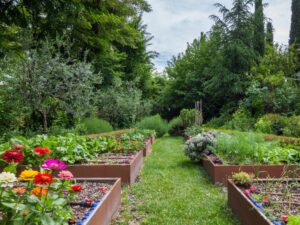 Gemüsegarten starten: in wenigen Schritten zur Selbstversorgung