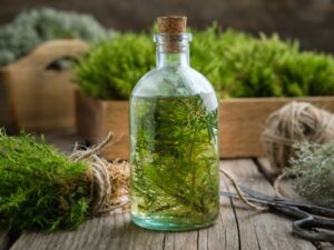 Natürliche Hausmittel für den Winter – einfache DIY-Ideen aus Garten & Natur